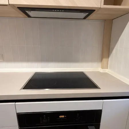 The Ascend Luxury Flat 2 * ブカレスト